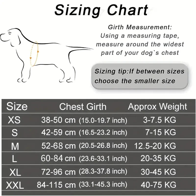 Custom ID Dog Harness