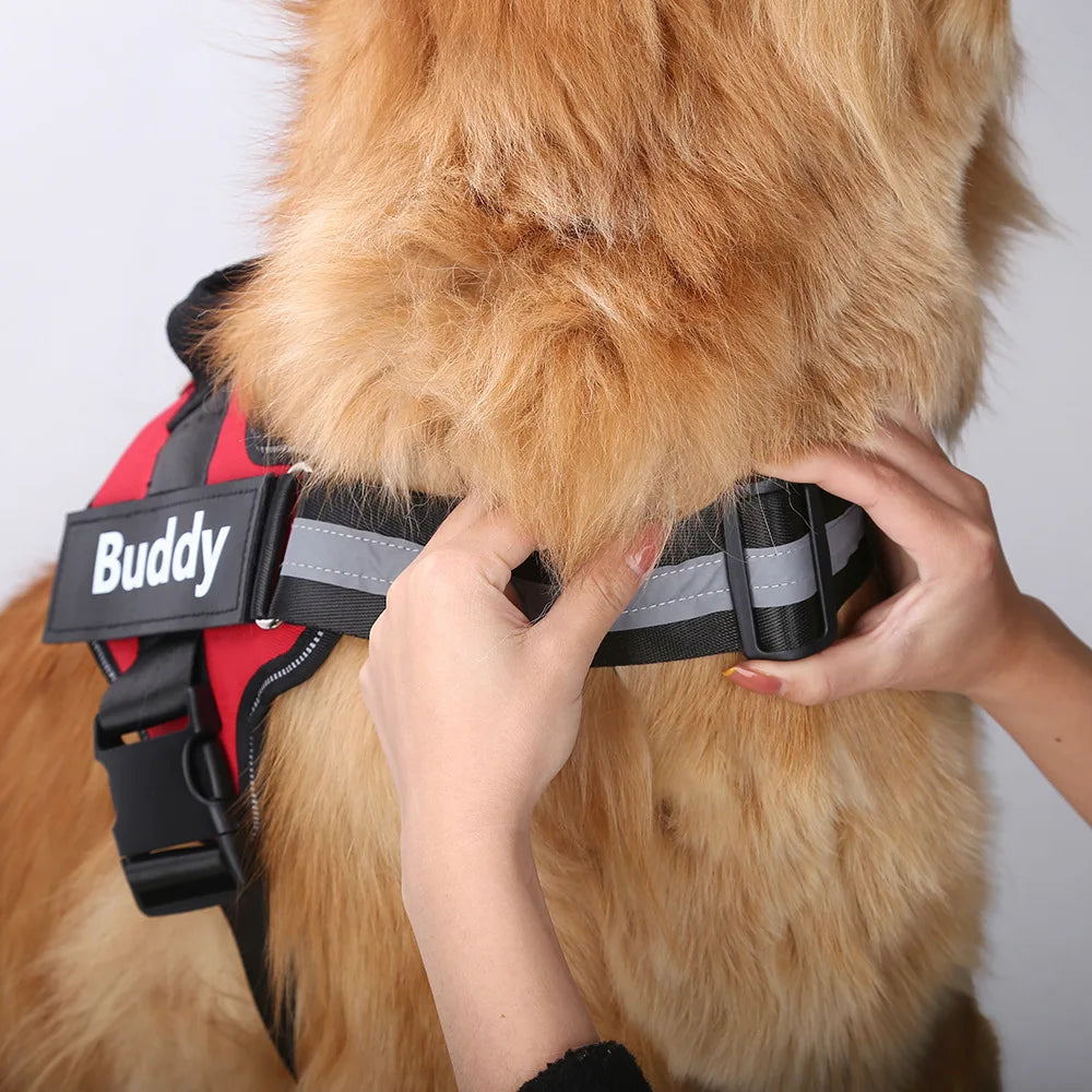 Custom ID Dog Harness
